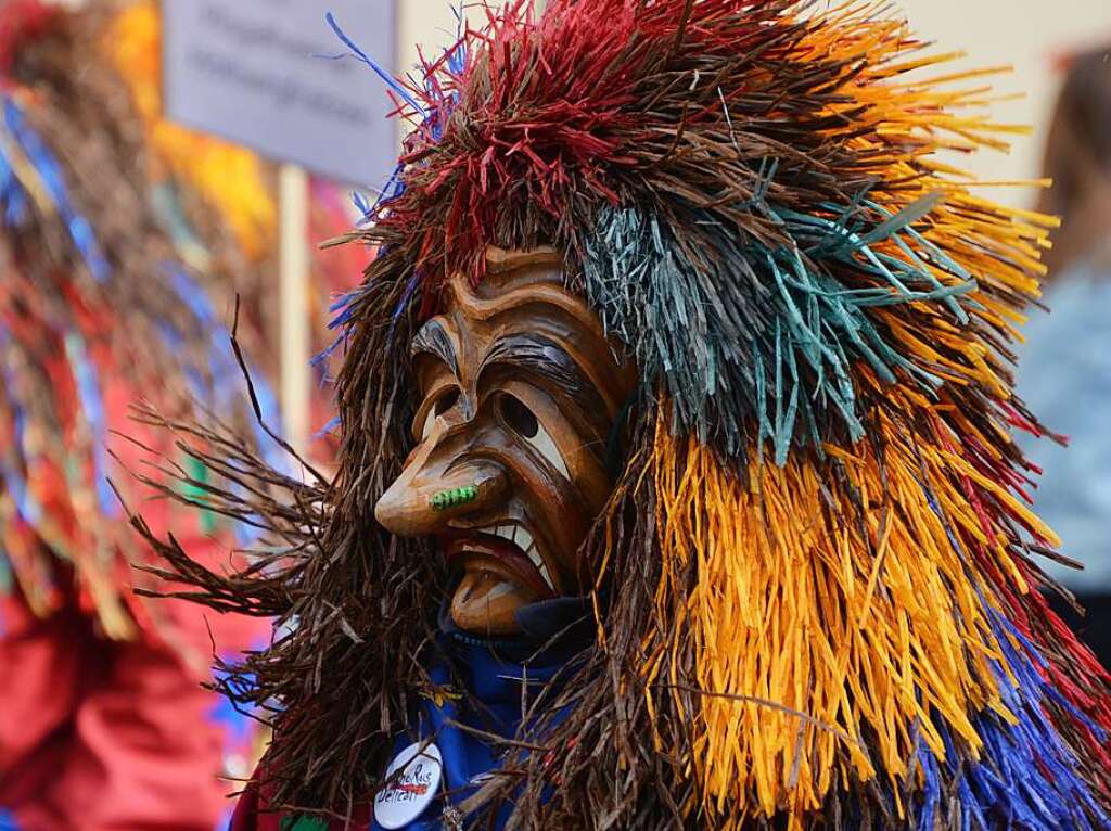 Impressionen vom Rosenmontagsumzug in Ehrenkirchen