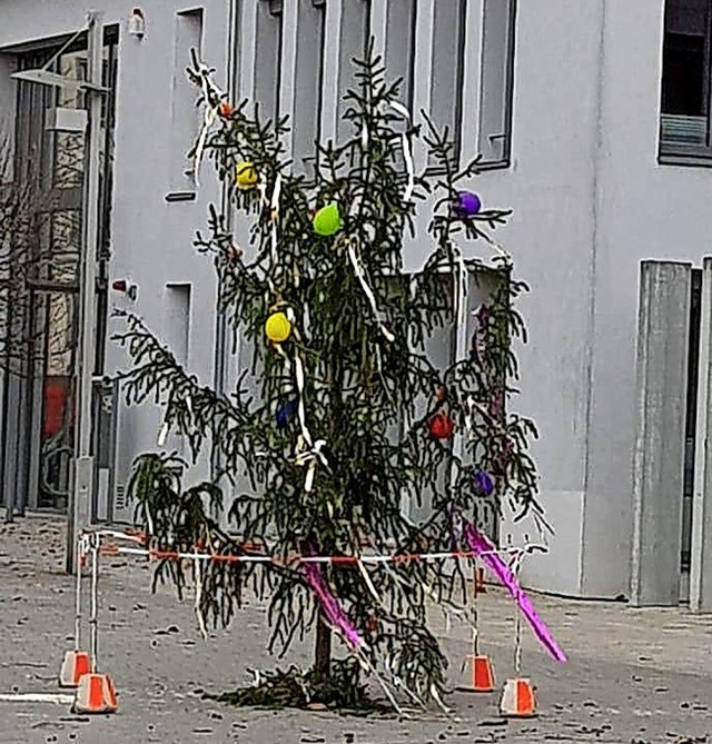 Der geschrumpfte Lahrer Narrenbaum   | Foto: K. Wilhelm