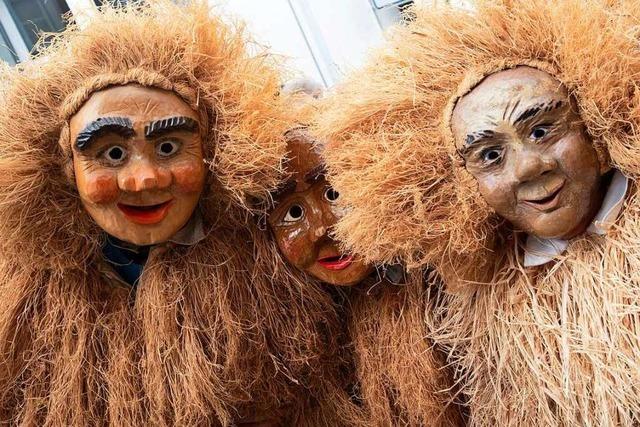 Fotos: Rosenmontagsumzug in Heitersheim