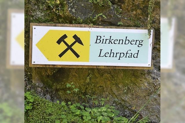 Eine lehrreiche Wanderung in die Geologie- und Archologiegeschichte des Sdschwarzwalds. Gefhrter Rundgang auf dem Bergbaulehrpfad in Bollschweil-St. Ulrich