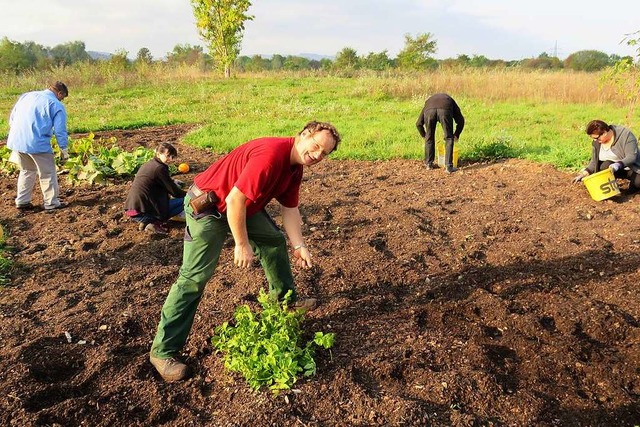 Viel vorgenommen hat sich Grtnermeist...r im Gemeinschaftsgarten (Archivfoto).  | Foto: Claudia Gempp