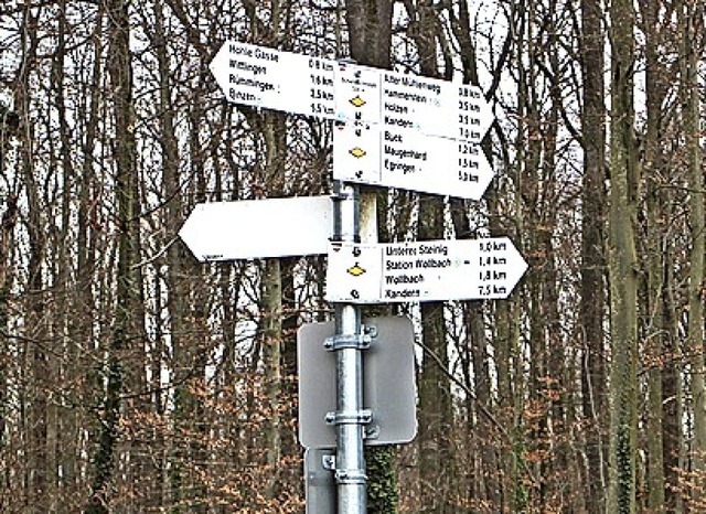 Der Schwarzwaldverein hlt die Wegmarken in Schuss.   | Foto: Rhein