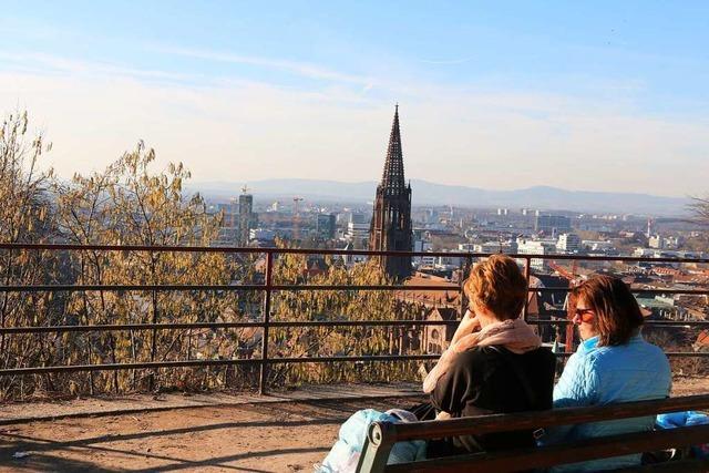 Der Februar brachte in Freiburg sehr viel Sonne und viel zu wenig Regen