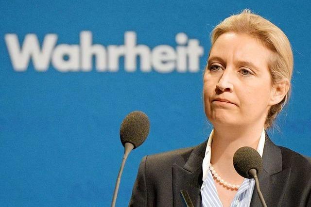 Sdwest-Schatzmeister belastet AfD in Affre um Spenden fr Weidel