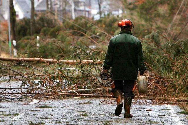 Schwierige Rettung: Waldarbeiter wird von Baumstamm am Bein getroffen