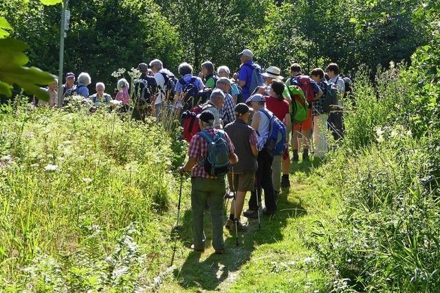 Schwarzwaldvereine bieten Wanderfreunden ein volles Programm