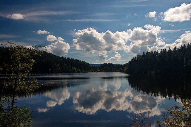 Der Windgfllweiher, der zu Lenzkirch ...rf hier deshalb wieder gebadet werden.  | Foto: Michael Below