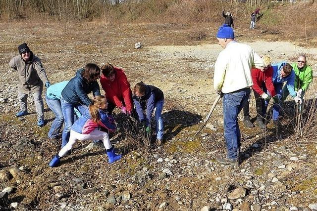 BEOBACHTET UND GEHRT