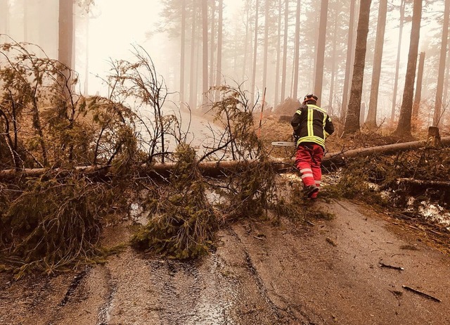 Die Aufrumarbeiten der Feuerwehr auf ...n abgebrochen und die Strae gesperrt.  | Foto: FFW