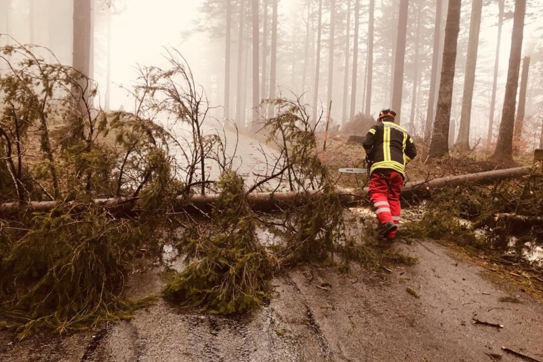 Umgestrzte Bume blockierten am Sonnt...andelgebiet. Die Feuerwehr musste ran.  | Foto: Feuerweh