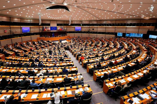 Sie vertreten die EU-Brger: eine Plen...ordneten im Europaparlament in Brssel  | Foto: Laurent Dubrule