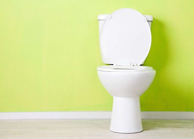 Kein Mlleimer: die Toilette   | Foto: dpa