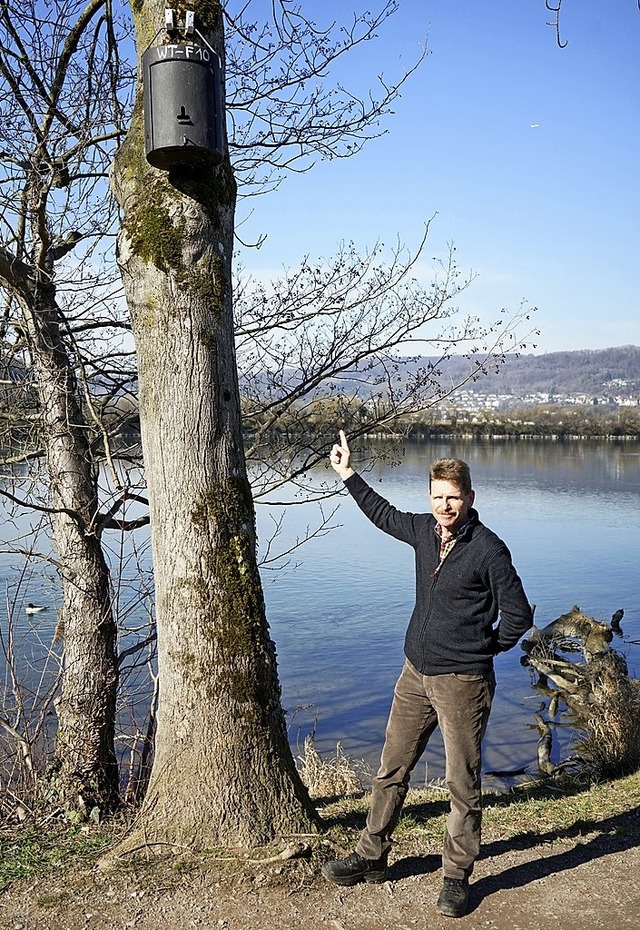 Der Leiter der Stadtgrtnerei, Bernd K...ch um die Nistksten fr Fledermuse.   | Foto: Verena Wehrle