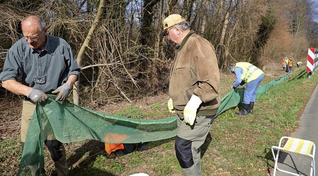 Zwischen Weisweil und Rheinhausen wurd... zum Schutz von Amphibien angebracht.   | Foto: Roland Vitt