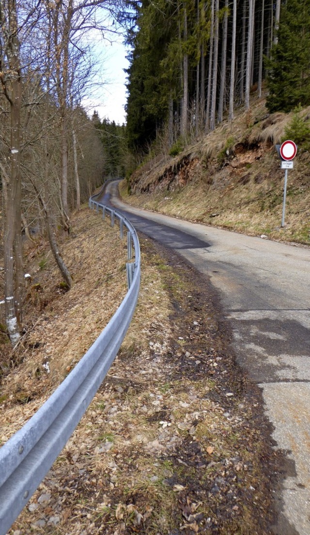 Der Lochenbachweg ist schmal, steil  u...ndgesetzt wird, ist eine Kostenfrage.   | Foto: Peter Stellmach