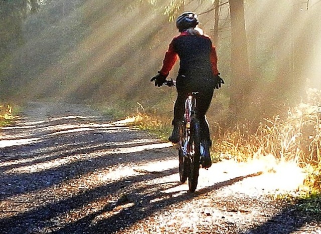 Bald ist es wieder so weit: Mountainbiker im Wald.  | Foto: dpa