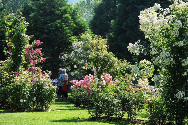 Im englischen Gartenparadies des Landh...n auf sieben Hektar Flche ihr Pracht.  | Foto: Landhaus Ettenbhl