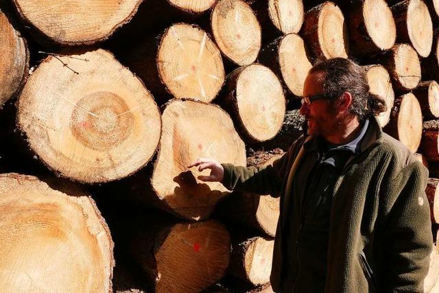 Das Beispiel Bonndorf zeigt, wie der Klimawandel dem Wald zusetzt