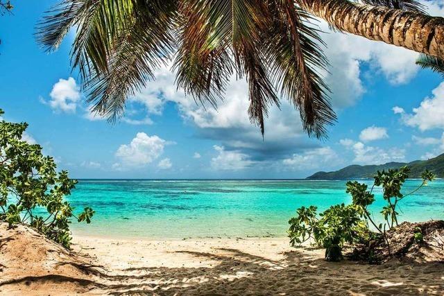 Nach Etatberatungen: Vereine planen Jahresausflug auf Seychellen