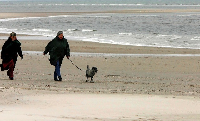 Etwas, das auch Annette Pehnt schtzt:...ngerinnen mit Hund auf der Insel Amrum  | Foto:  dpa