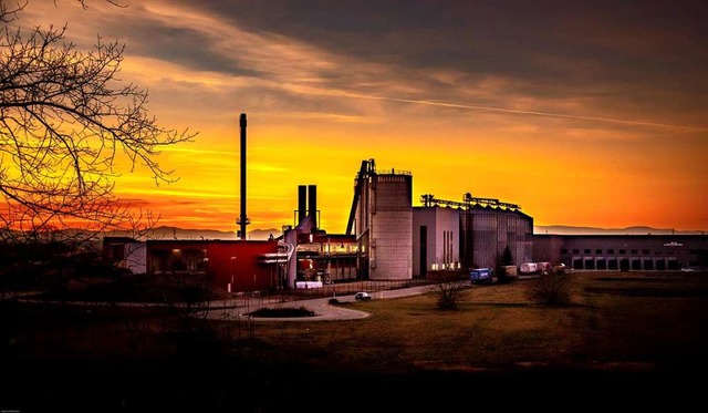 Das Pelletwerk im gemeinsamen Gewerbeg...ttenheim und MahlbergMartin Bildstein.  | Foto: Martin Bildstein