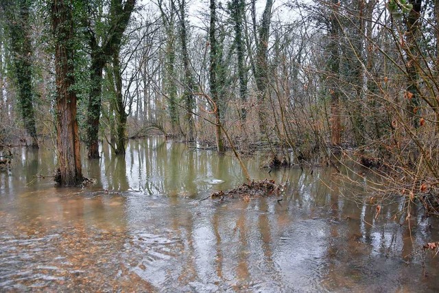 Was ist ein Polder?  | Foto: Jonas Hirt