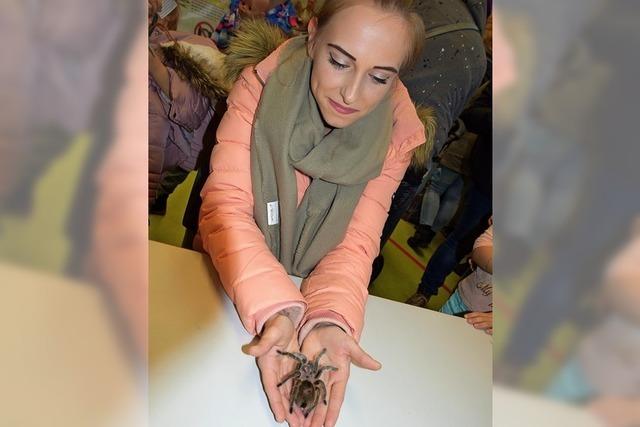 Keine Angst vor Spinnen