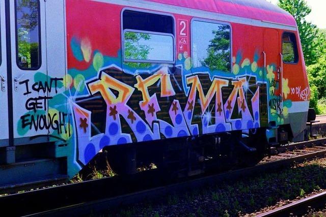 Dieser Freiburger sammelt im Internet Bilder von Graffiti auf Zügen
