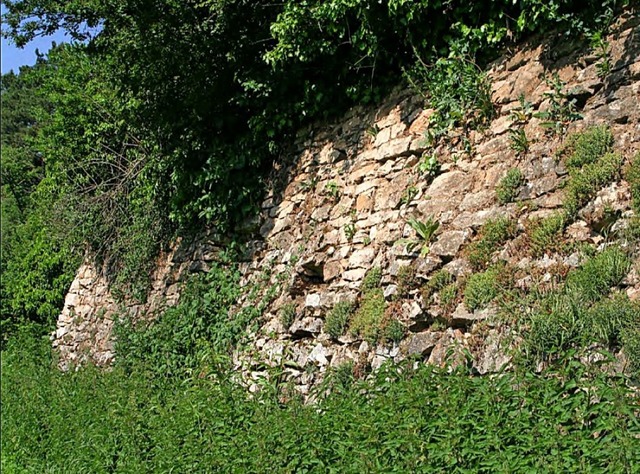 Trockenmauern wie diese im Gewann Httenbhl mssen freigehalten werden.  | Foto: Stadt Herbolzheim