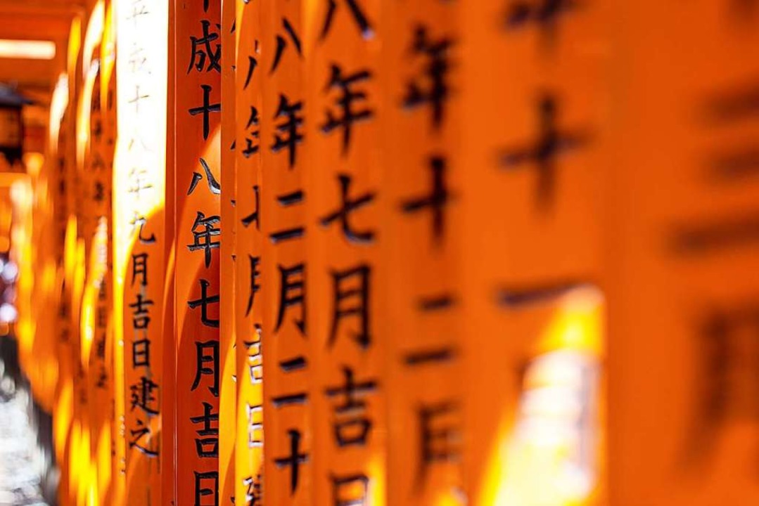 Wer will Japanisch lernen?  | Foto: Conor Luddy (unsplash.com)