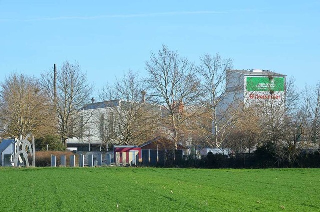 Die Firma Birkenmeier will ihren Stand...ach und Radolfzell angesiedelt werden.  | Foto: Agnes Pohrt