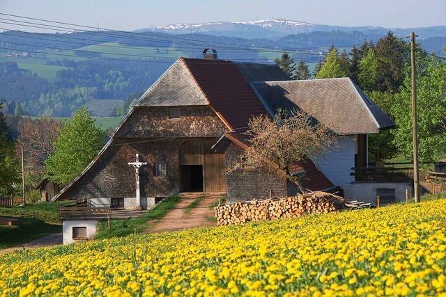 Wie im Schwarzwald moderne Architektur gefrdert werden soll