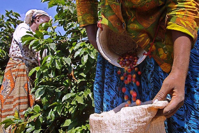 Nachhaltig Arbeitspltze in Afrika auf...hren Projekten erreichen (Symbolbild).  | Foto: AFP