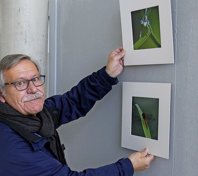 Wolfgang Speer bei der Vorbereitung der Ausstellung  | Foto: Alexander