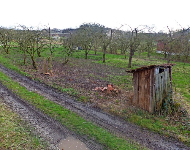 Auf diesem Areal oberhalb des Breitenw...soll der Naturkindergarten entstehen.   | Foto: Bachmann-Goronzy