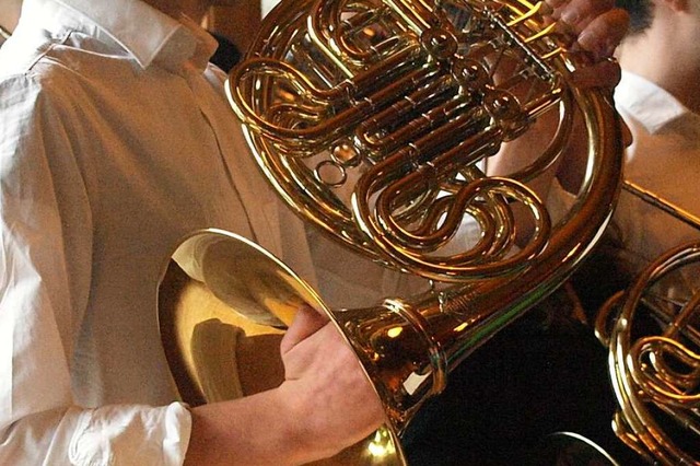 Horn ist sein Instrument: Timo Steininger  | Foto: Karin Stckl-Steinebrunner