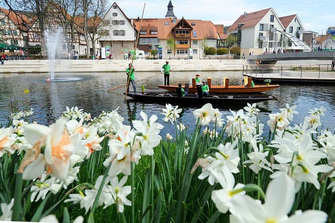 Das Bild zeigt Nagold. Die Stadt hat s...artenschau 2012 fr 13 Millionen Euro.  | Foto: dpa