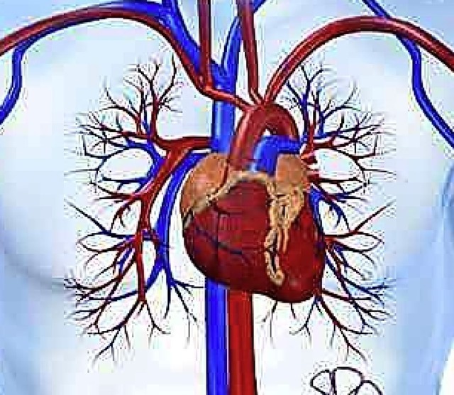 Wenn ein Herz Hilfe braucht, ist Eile geboten.   | Foto: Bild: Kaulitzki/Fotolia