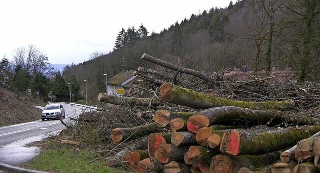 Neben dem Sturmholz (hier im Schmitzin... verordnete Forstreform zu schaffen.    | Foto: Huber
