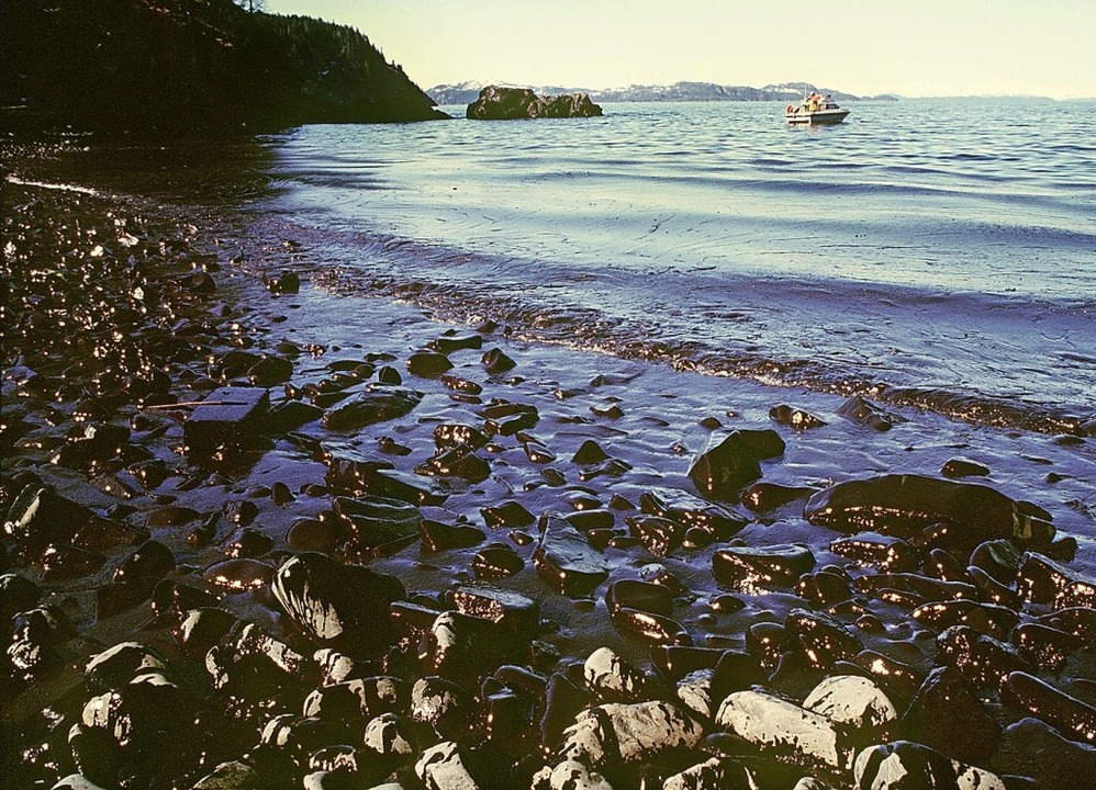 Aufnahme vom Mrz 1989 mit  lverschmierter Kste in Alaska   | Foto: dpa