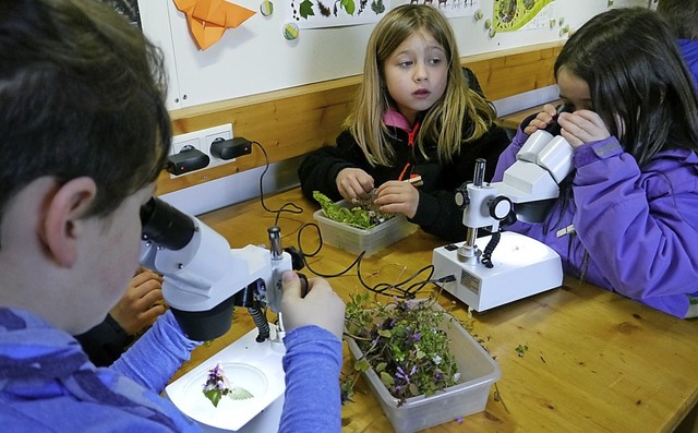 Im Naturschutzlabor auf Rdern knnen ...ewesen unter die Lupe genommen werden.  | Foto: Christa Hlter-Hassler