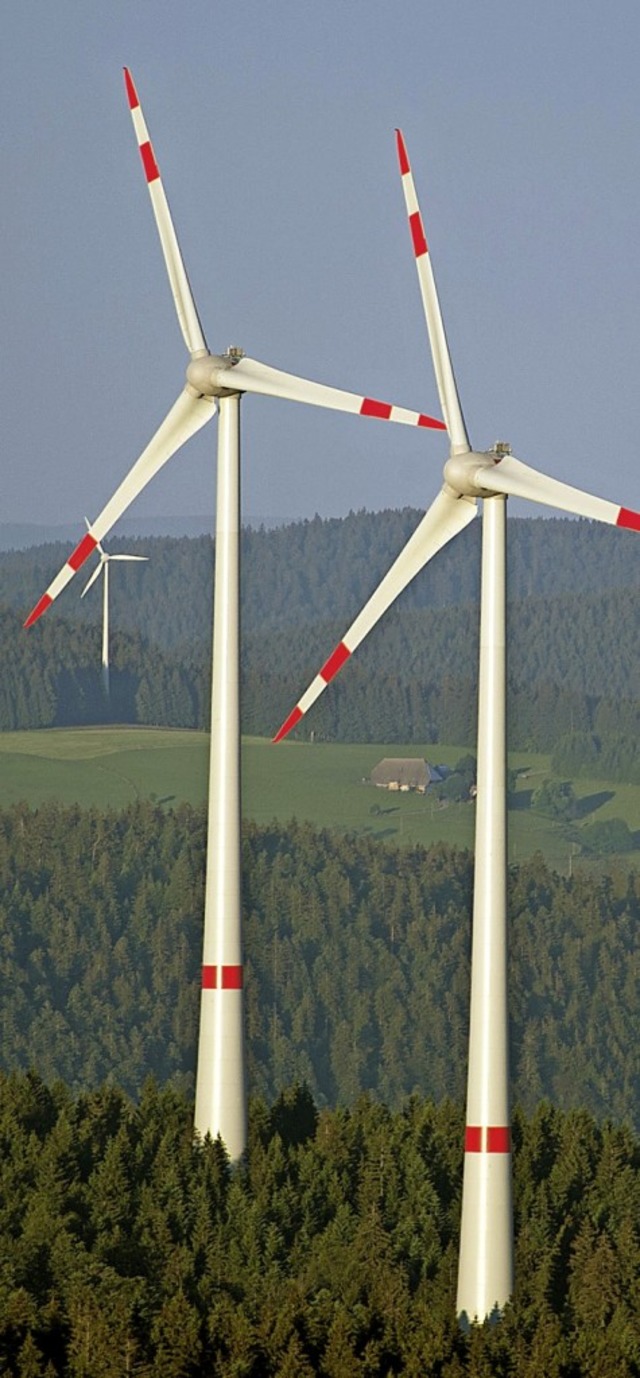 Windrder bei Waldkirch   | Foto: dpa