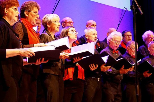 Der gemischte Chor Eintracht aus March-Hugstetten in Aktion  | Foto: Julius Wilhelm Steckmeister