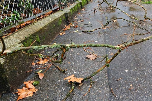 Eine Frau hat immer wieder ste auf ei...strae in Lrrach gelegt (Symbolbild).  | Foto: Rita Eggstein