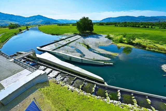 Aus Sicht des ASV seien Wasserkraftwer...ion seien,  schlecht vertragen wrden.  | Foto: E-Werk Mittelbaden