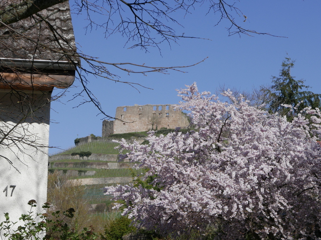 Staufen Auf dem Rempart