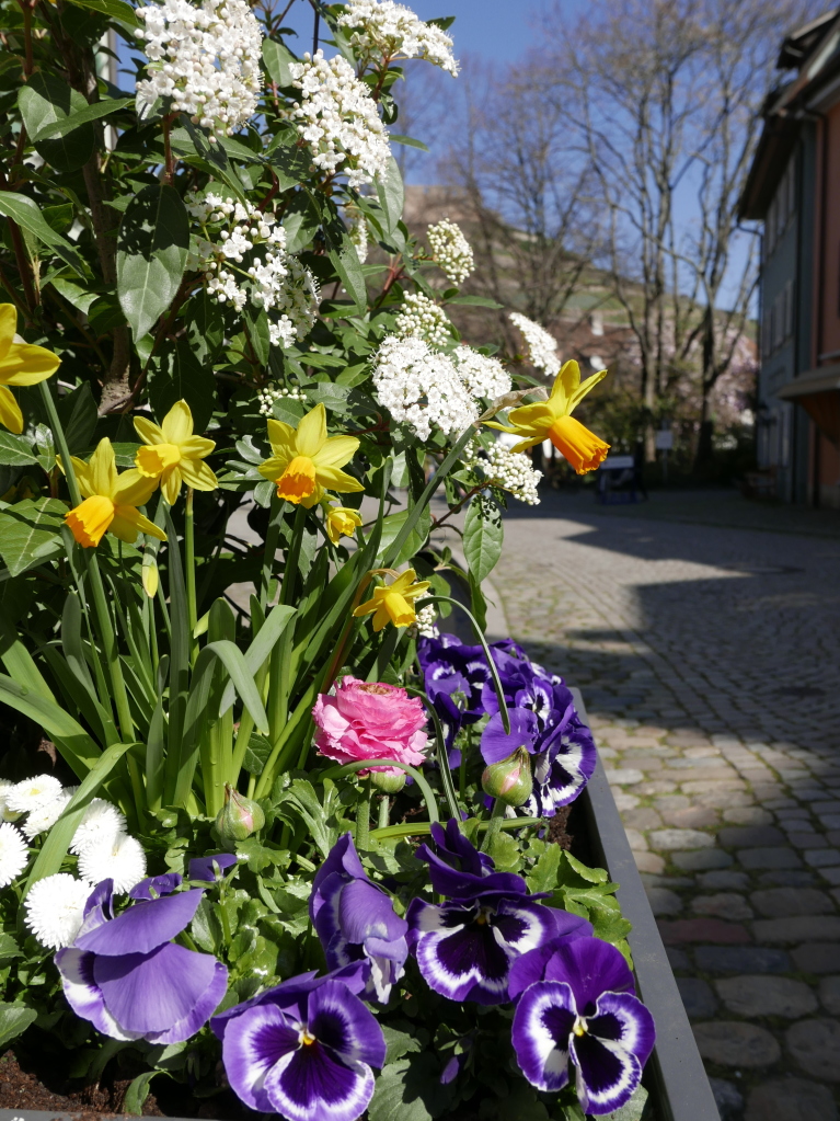 Staufen Hauptstrae