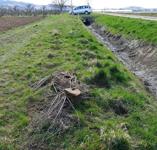 Herausgerissene Strucher...  | Foto: Landratsamt Emmendingen  Amt fr Flurneuordnung