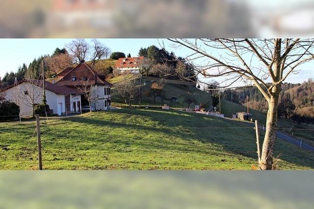 Wohnhuser sollen Siedlung abrunden