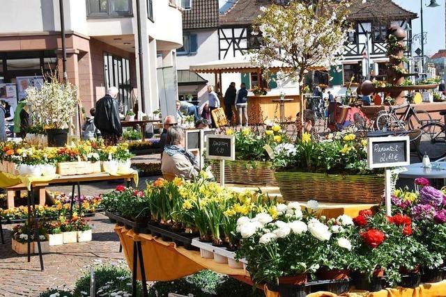 In Gundelfingen findet der Frhlings- und Fahrradmarkt statt